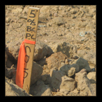 Penetrometer - Soils