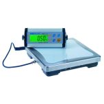 Industrial Bench Scale, 150 kg x 50 g (330 lb. x 0.1 lb.) with 300 x 300 mm platform