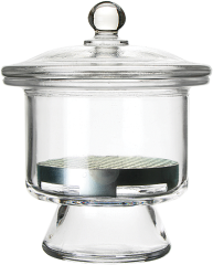 8" Desiccator Jar